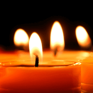 NATURALNE SUSZONE POTPOURRI